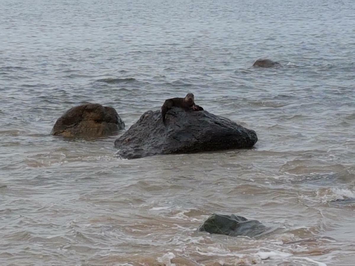 Shiskine Gairloch Bagian luar foto