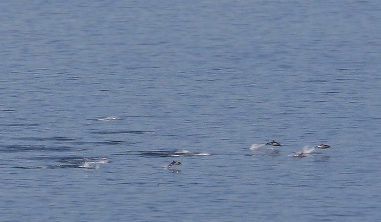 Shiskine Gairloch Bagian luar foto